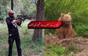سیب کی کٹائی کے دوران کشمیر میں ریچھوں کی دہشت۔2 ہلاک، 40 سے زائد زخمی